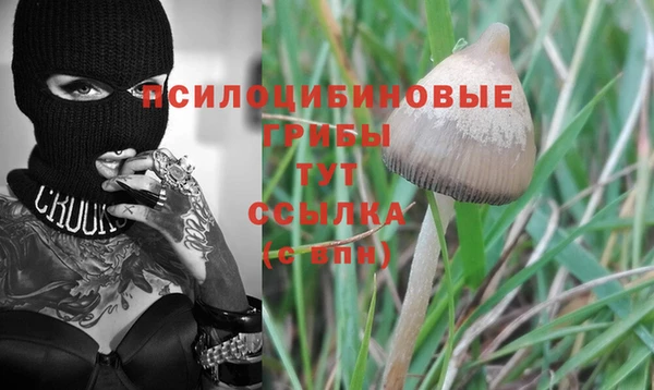 каннабис Алексеевка