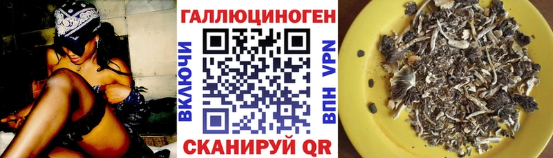 наркошоп  Урюпинск  Галлюциногенные грибы Magic Shrooms 
